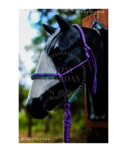 Cabresto de 7 nós Violeta com Detalhes na Focinheira Cor: Verde Bebê